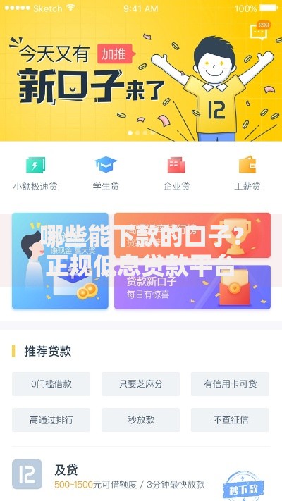 哪些能下款的口子？正规低息贷款平台推荐指南