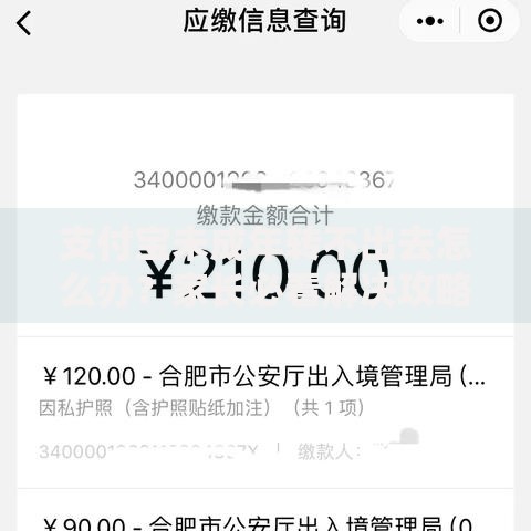 支付宝未成年转不出去怎么办？家长必看解决攻略