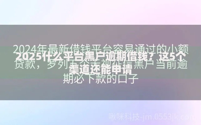 2025什么平台黑户逾期借钱？这5个渠道还能申请