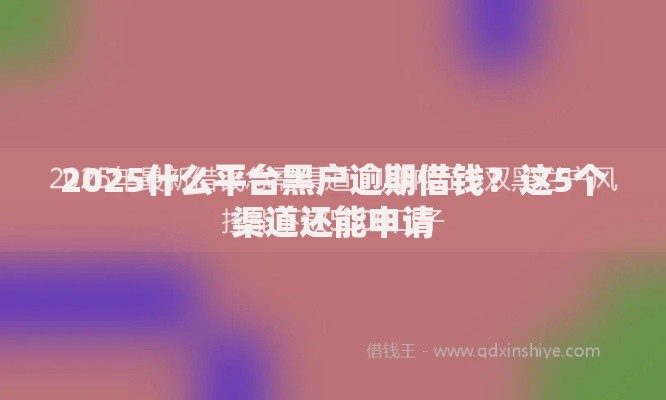 2025什么平台黑户逾期借钱？这5个渠道还能申请