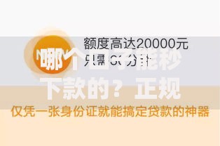 黑口子申请攻略：资质门槛与风险规避全解析