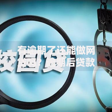 有逾期了还能做网贷吗？逾期后贷款申请攻略与解决方案