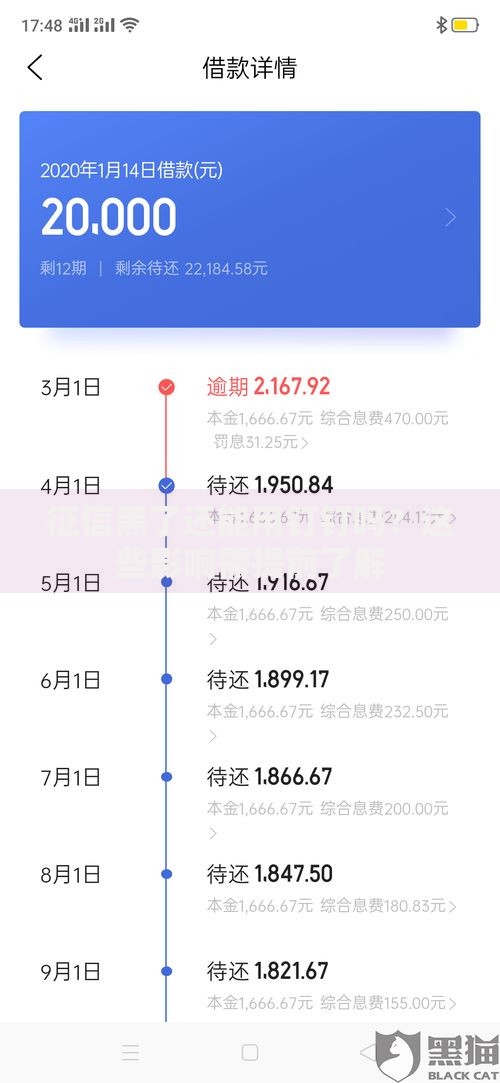 黑户容易下的口子有哪些？深度解析借款渠道