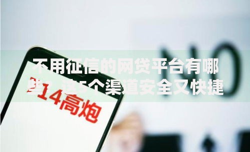 不用征信的网贷平台有哪些？这5个渠道安全又快捷！