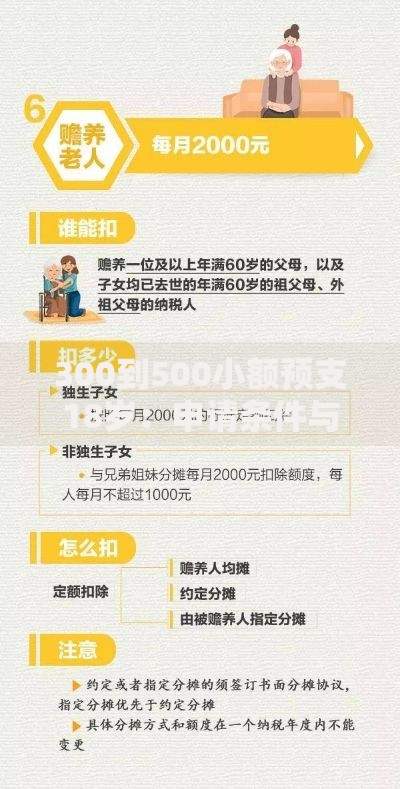 300到500小额预支18岁：申请条件与使用注意事项详解