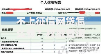 不上征信网贷怎么查？权威查询方法及风险解析
