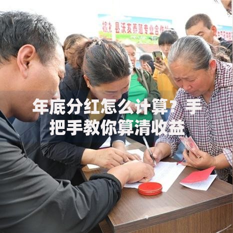 年底分红怎么计算？手把手教你算清收益