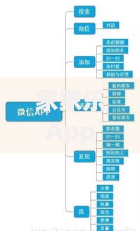 家家乐App的借款流程详解：用户常见问题全解析