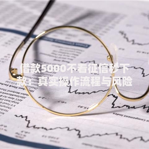 借款5000不看征信秒下款：真实操作流程与风险解析