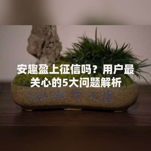 安趣盈上征信吗？用户最关心的5大问题解析