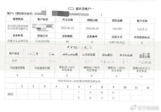 征信负债怎么看？一文教你轻松搞懂信用报告里的负债秘密