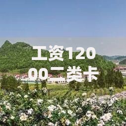 工资12000二类卡怎么收？这5招帮你解决限额烦恼