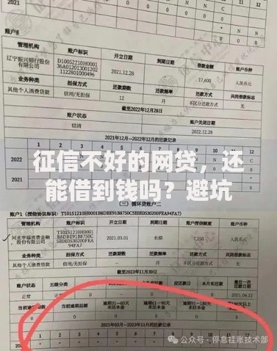 征信不好的网贷，还能借到钱吗？避坑指南大揭秘