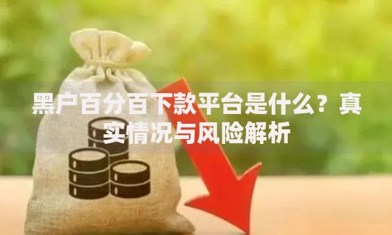 黑户百分百下款平台是什么？真实情况与风险解析