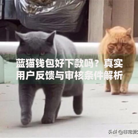 蓝猫钱包好下款吗？真实用户反馈与审核条件解析