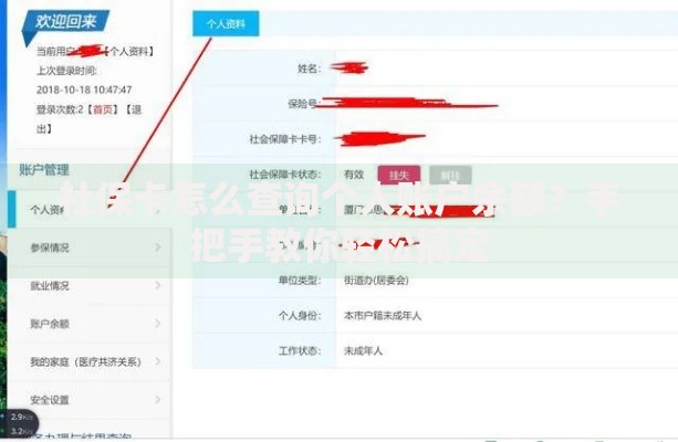 社保卡怎么查询个人账户余额？手把手教你轻松搞定