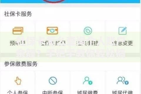 社保卡怎么查询个人账户余额？手把手教你轻松搞定