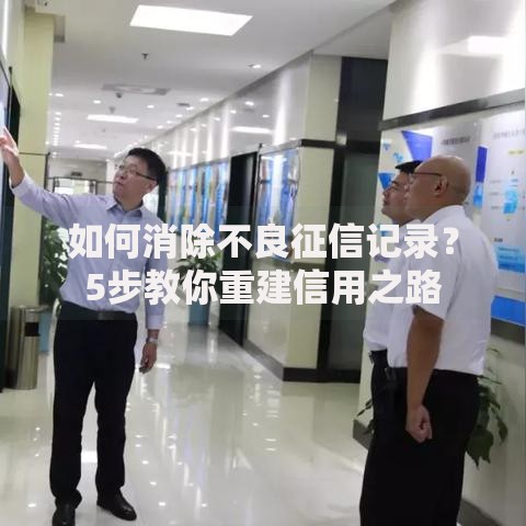 如何消除不良征信记录？5步教你重建信用之路