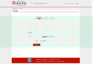 在哪里查征信报告？一文读懂权威渠道与详细流程