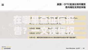 在哪里查征信报告？一文读懂权威渠道与详细流程