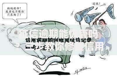 征信逾期能恢复吗？三步教你修复信用记录