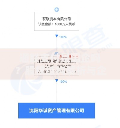 通联支付是国企吗？股权结构解析与企业性质深度探讨