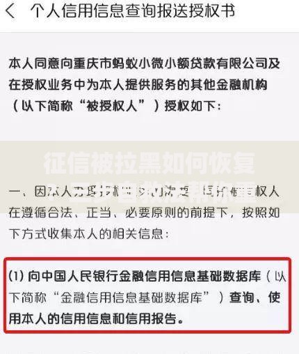 征信被拉黑如何恢复？三步自救法帮你重建信用之路