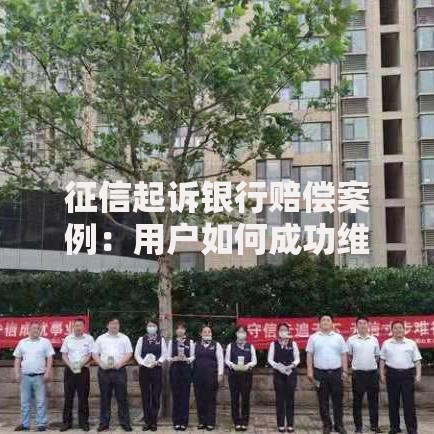 征信起诉银行赔偿案例：用户如何成功维权获赔