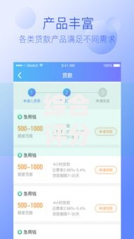综合评分不足可以在哪个平台借钱?这几个渠道可尝试 综合评分不足可以在哪个平台借钱?这几个渠道可尝试
