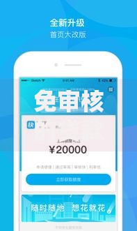 免审核的贷款申请后多久放款？放款时效全解析