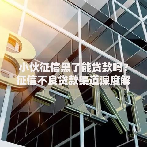 小伙征信黑了能贷款吗？征信不良贷款渠道深度解析