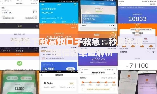 求必下款高炮口子救急：秒到账低门槛借款渠道解析