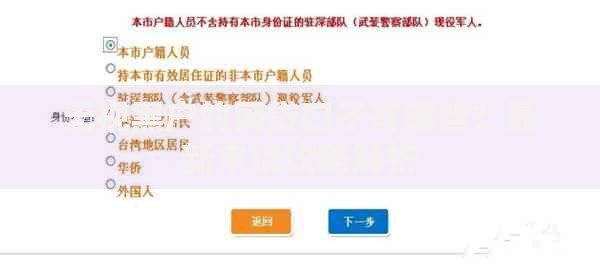 无视黑户的网贷口子有哪些？最新申请攻略解析