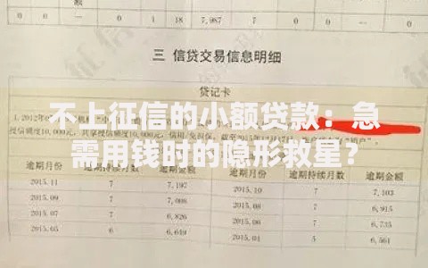 不上征信的小额贷款：急需用钱时的隐形救星？