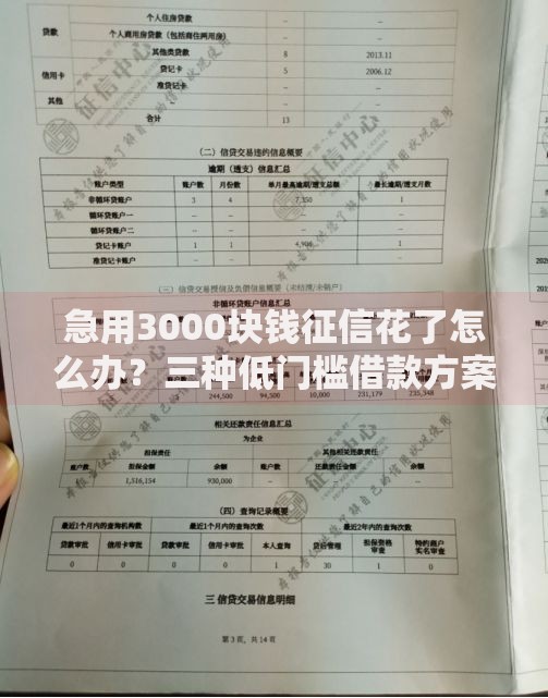 急用3000块钱征信花了怎么办？三种低门槛借款方案解析