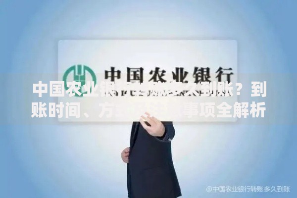 中国农业银行转账多久到账？到账时间、方式及注意事项全解析