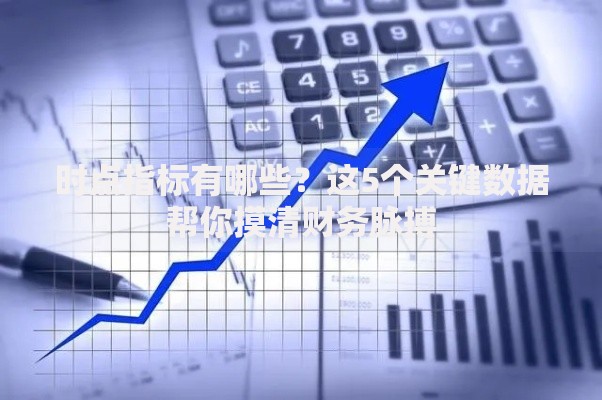 时点指标有哪些？这5个关键数据帮你摸清财务脉搏