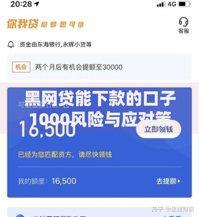 黑网贷能下款的口子1000风险与应对策略全解析