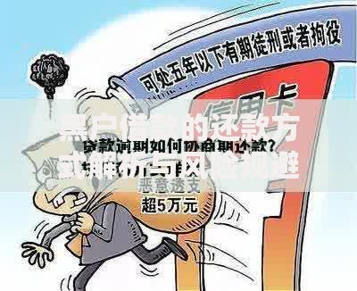 黑户借款的还款方式解析与风险规避指南