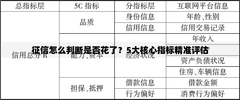 征信怎么判断是否花了？5大核心指标精准评估