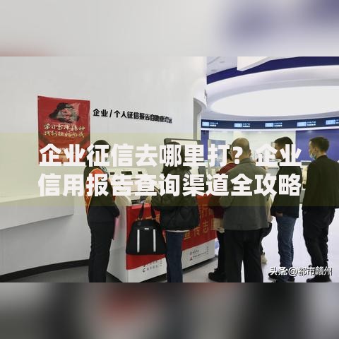 企业征信去哪里打？企业信用报告查询渠道全攻略