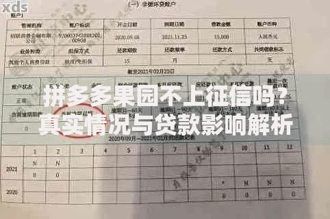 拼多多果园不上征信吗？真实情况与贷款影响解析