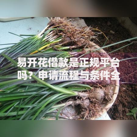 易开花借款是正规平台吗？申请流程与条件全解析
