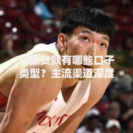 短期贷款有哪些口子类型？主流渠道深度解析