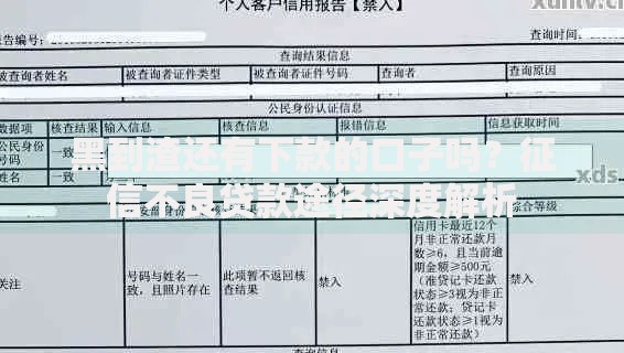 黑到渣还有下款的口子吗？征信不良贷款途径深度解析