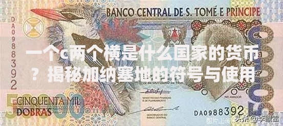 一个c两个横是什么国家的货币？揭秘加纳塞地的符号与使用场景