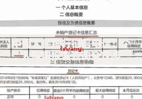 中国人民银行征信电话：个人信用报告查询全攻略