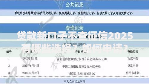 贷款新口子不查征信2025有哪些选择？如何申请？