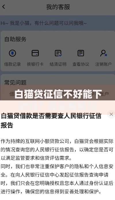 白猫贷征信不好能下款吗？真实解析与申请策略