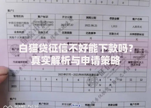 白猫贷征信不好能下款吗？真实解析与申请策略